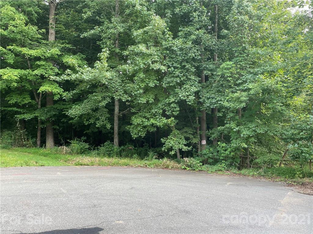 a view of a yard with plants and trees