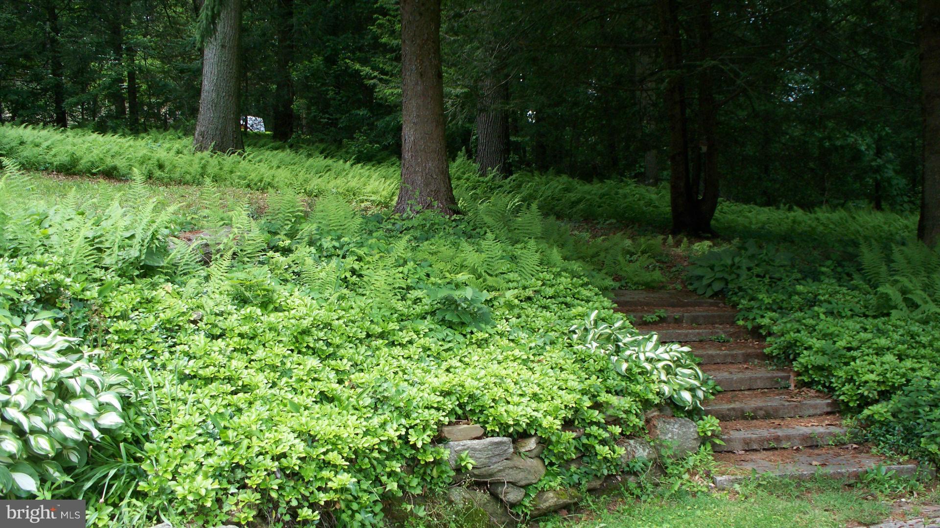 2003 Channel Road Pylesville, MD 21132 - Photo 8 of 30 Garden Walkway