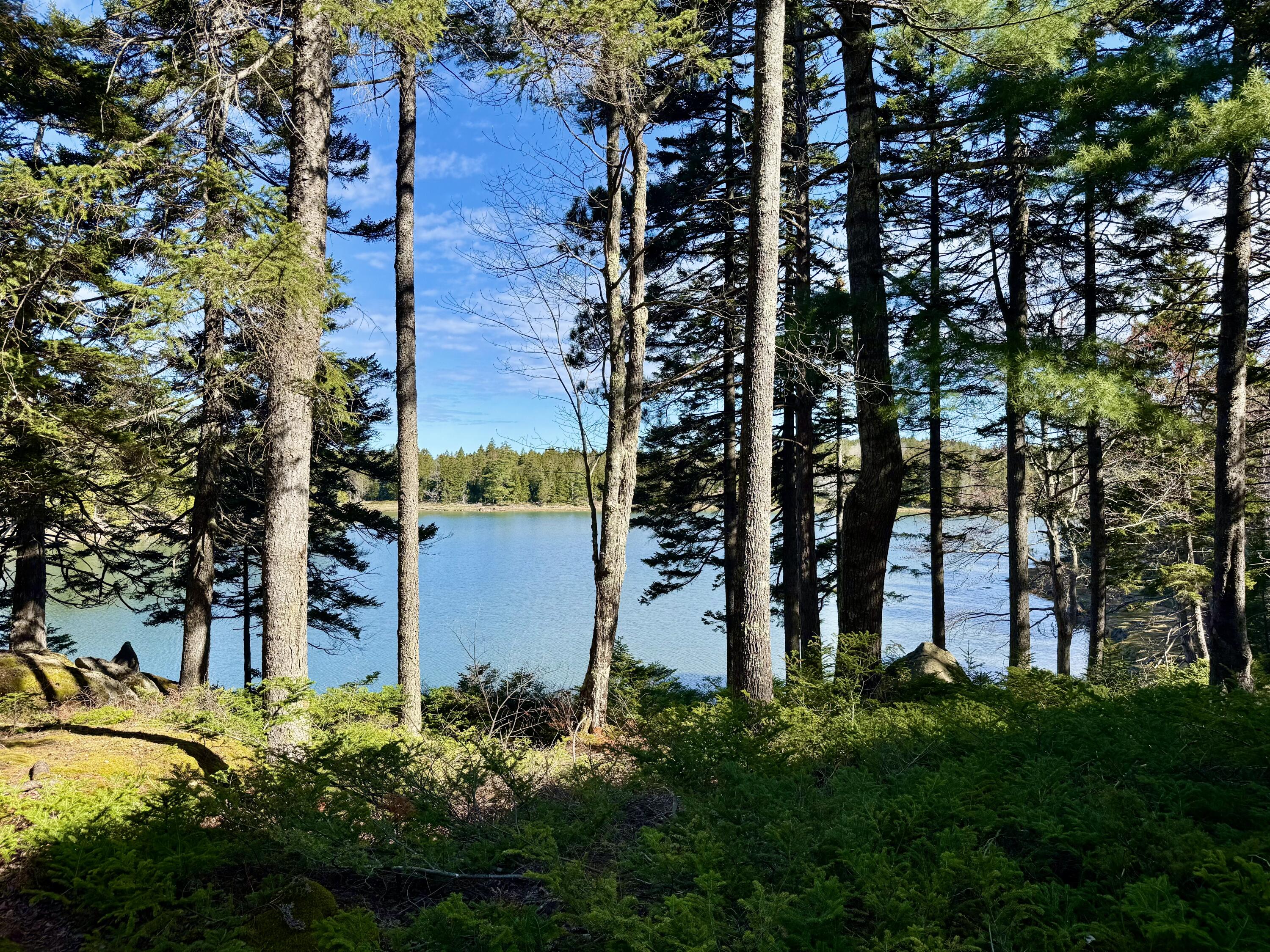 368 Calderwood Neck Road Vinalhaven, ME 04863 - Photo 29 of 32 IMG_7318