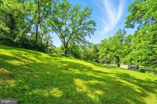 a view of a grassy field with trees