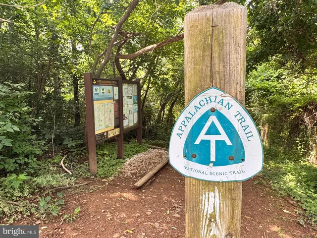 a view of a yard with large trees