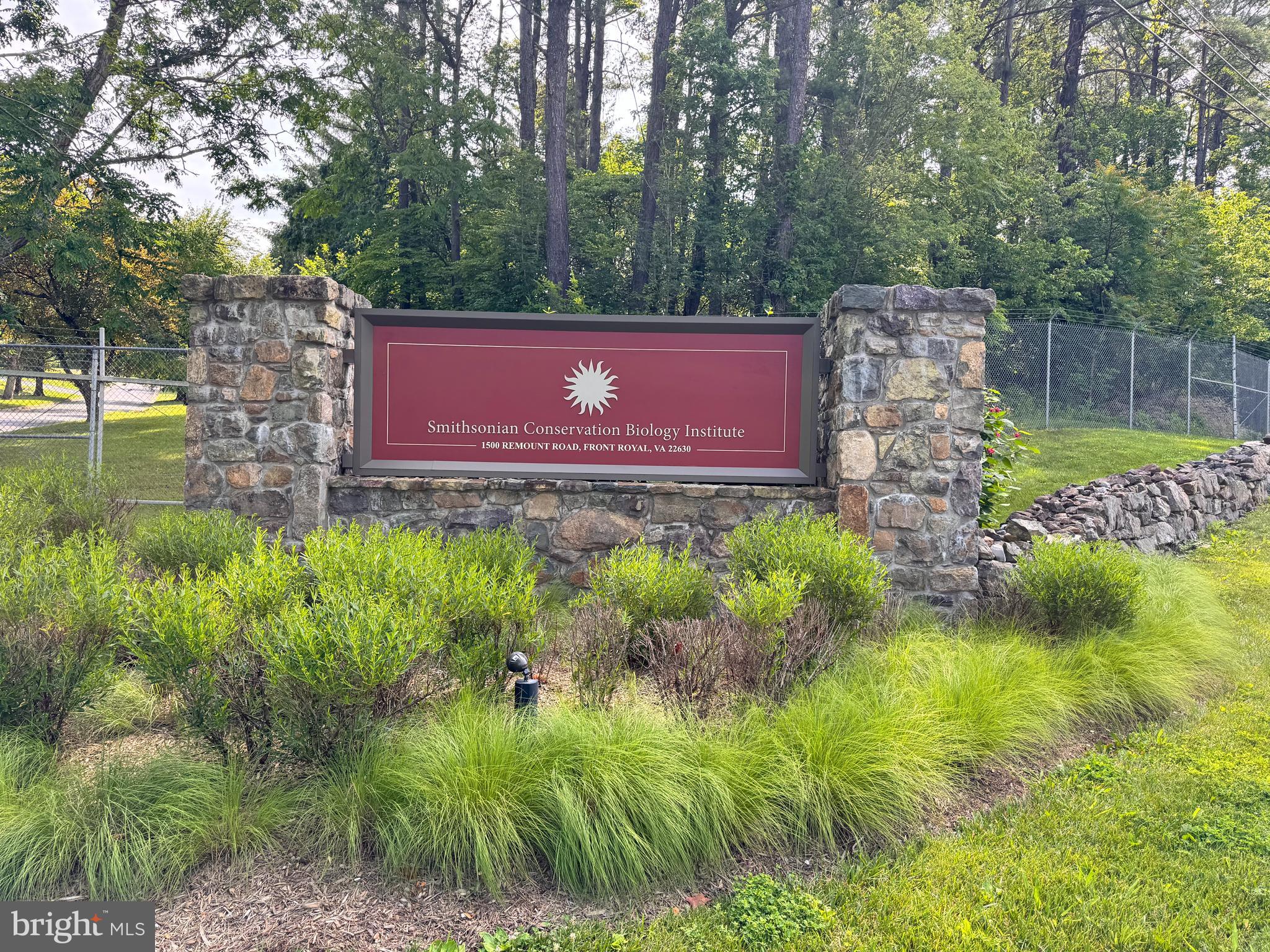 14 Summit Point Drive Front Royal, VA 22630 - Photo 32 of 32 a view of a yard with large trees