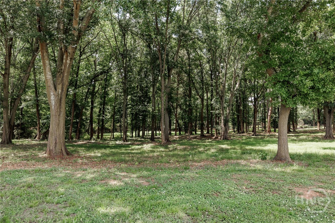 1111 Hale Road Watkinsville, GA 30677 - Photo 69 of 74