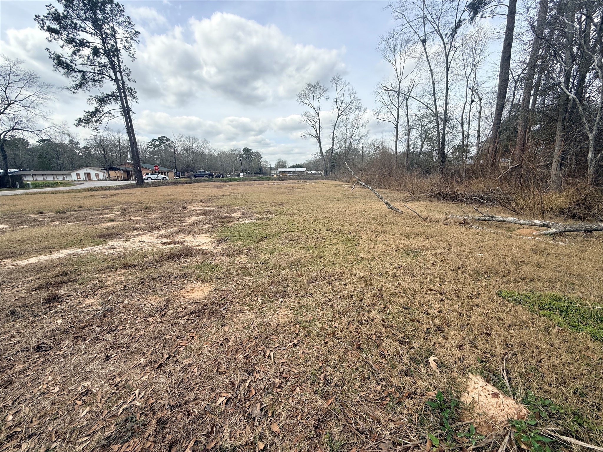 0 Diamond Square Splendora, TX 77372 - Photo 2 of 4 a view of road view with large trees
