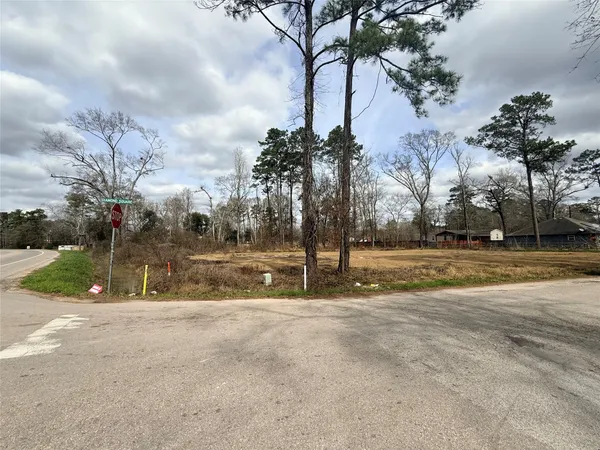 a view of road and trees