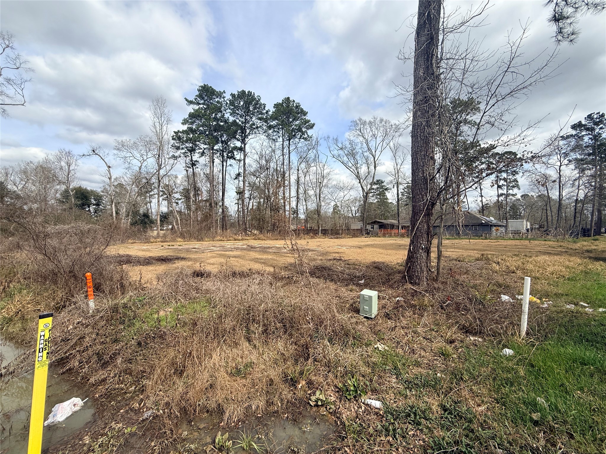0 Diamond Square Splendora, TX 77372 - Photo 4 of 4 a view of dirt yard with large trees