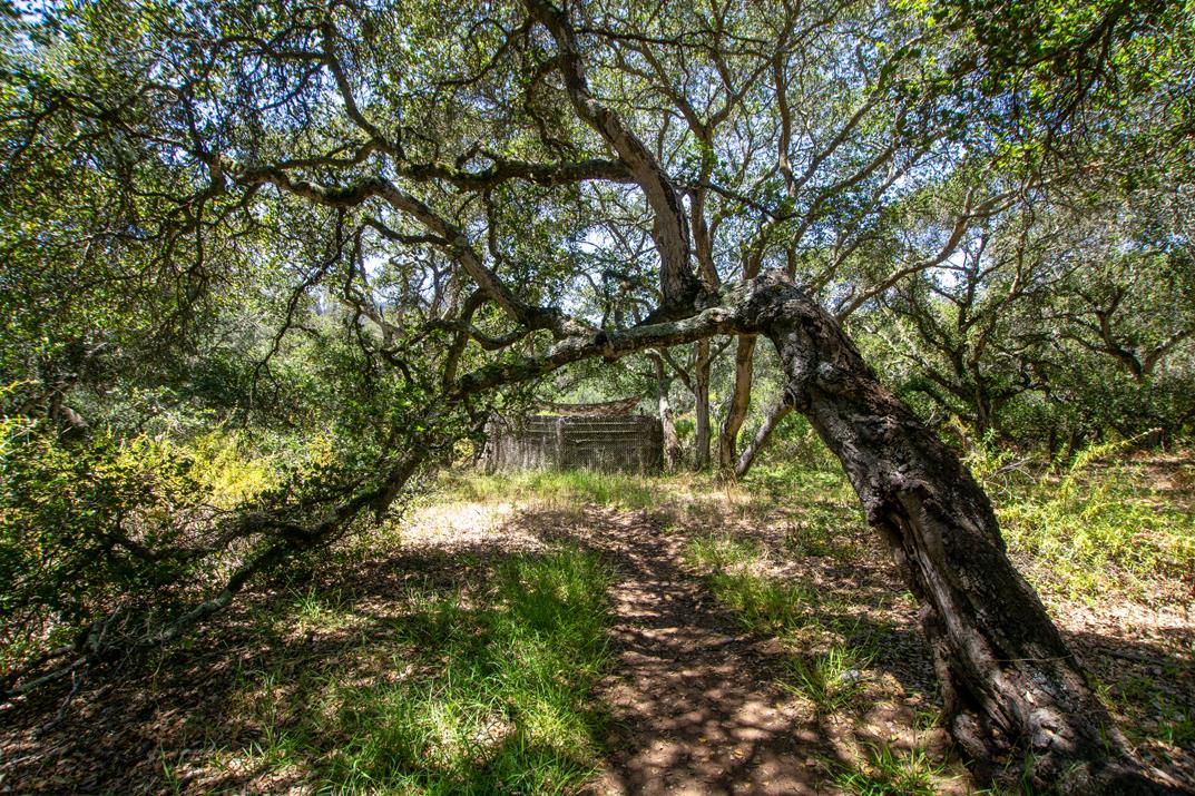 425 Echo Valley Road Salinas, CA 93907 - Photo 32 of 60