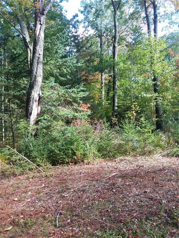 88 Browns Cove Road Round Pond, ME 04564 - Photo 6 of 11 Additional open area