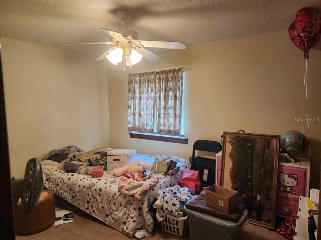 201 North Hart Road Geneva, FL 32732 - Photo 8 of 12 Gallery Image 8
