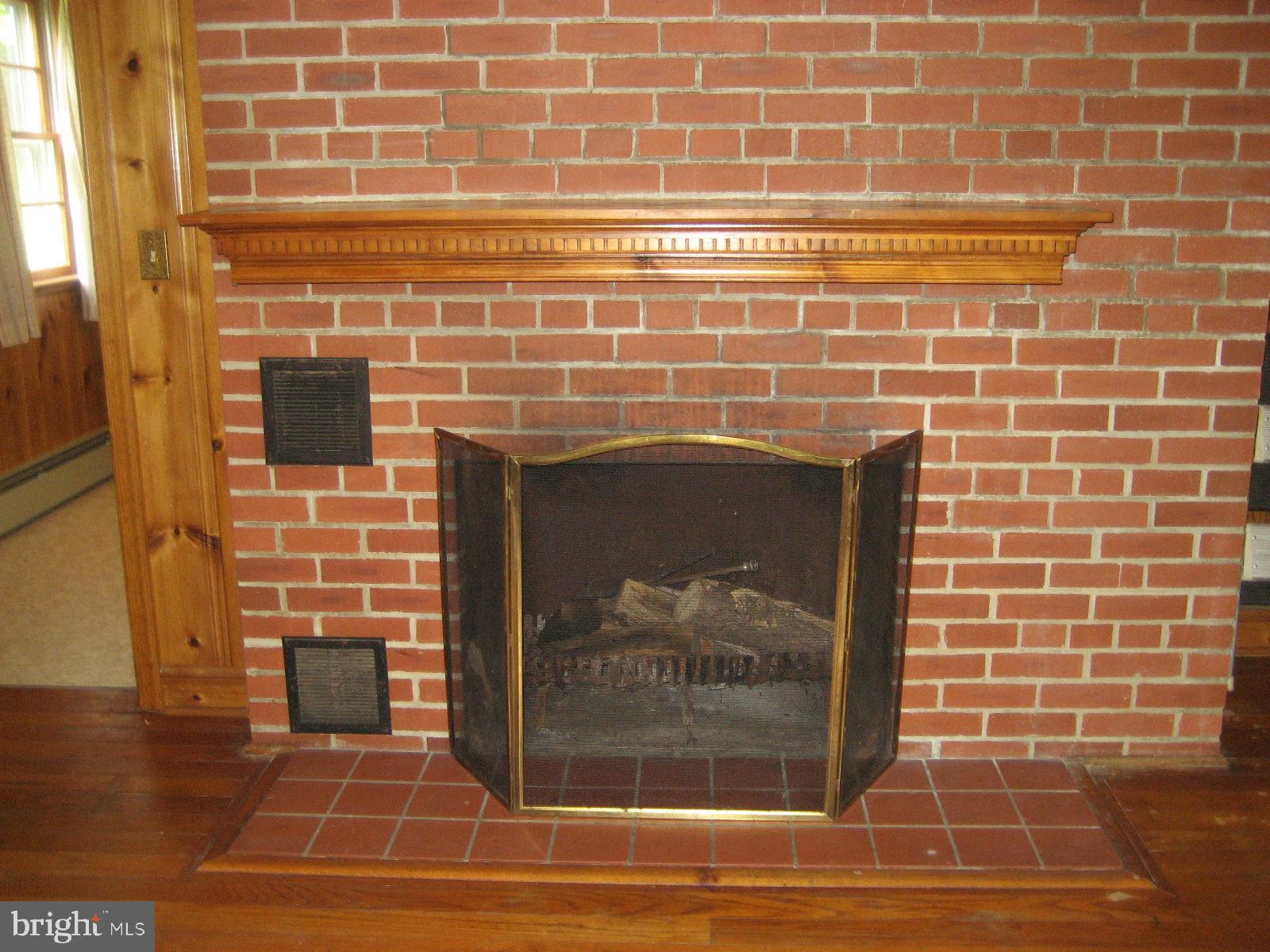 2459 Frogtown Road Bluemont, VA 20135 - Photo 15 of 56 Wood burning fireplace
