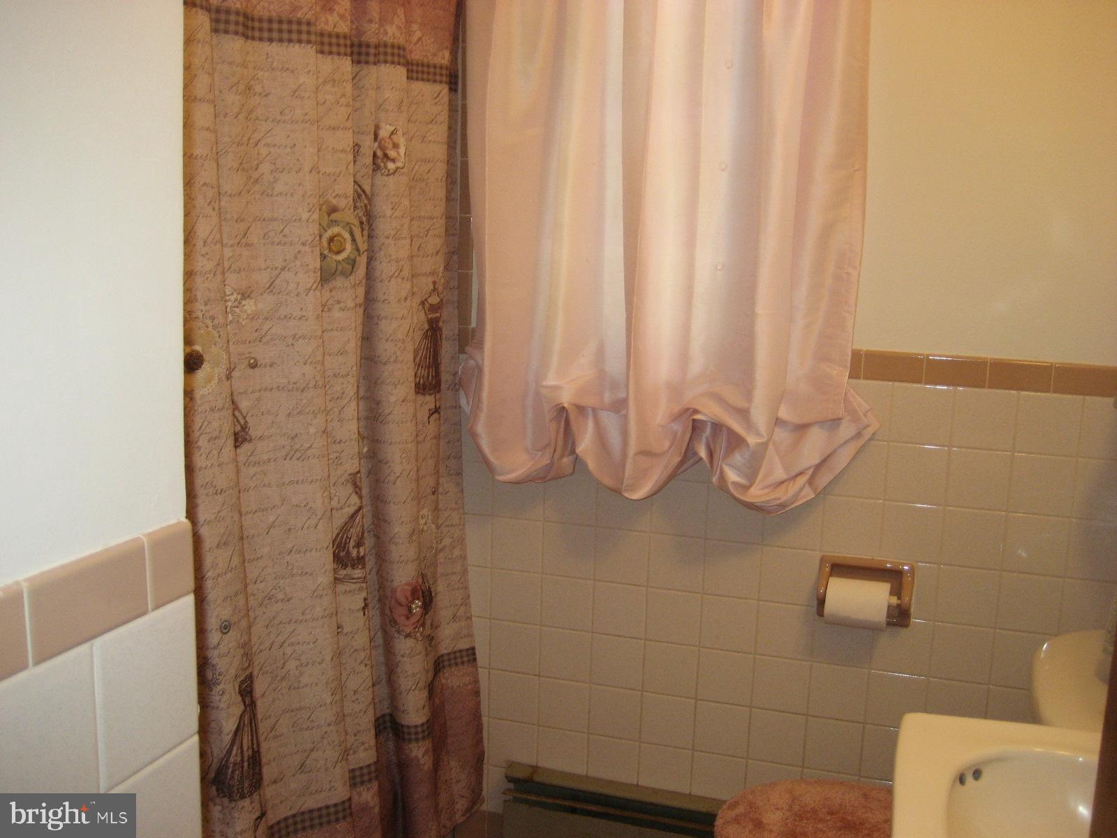 2459 Frogtown Road Bluemont, VA 20135 - Photo 26 of 56 Bath