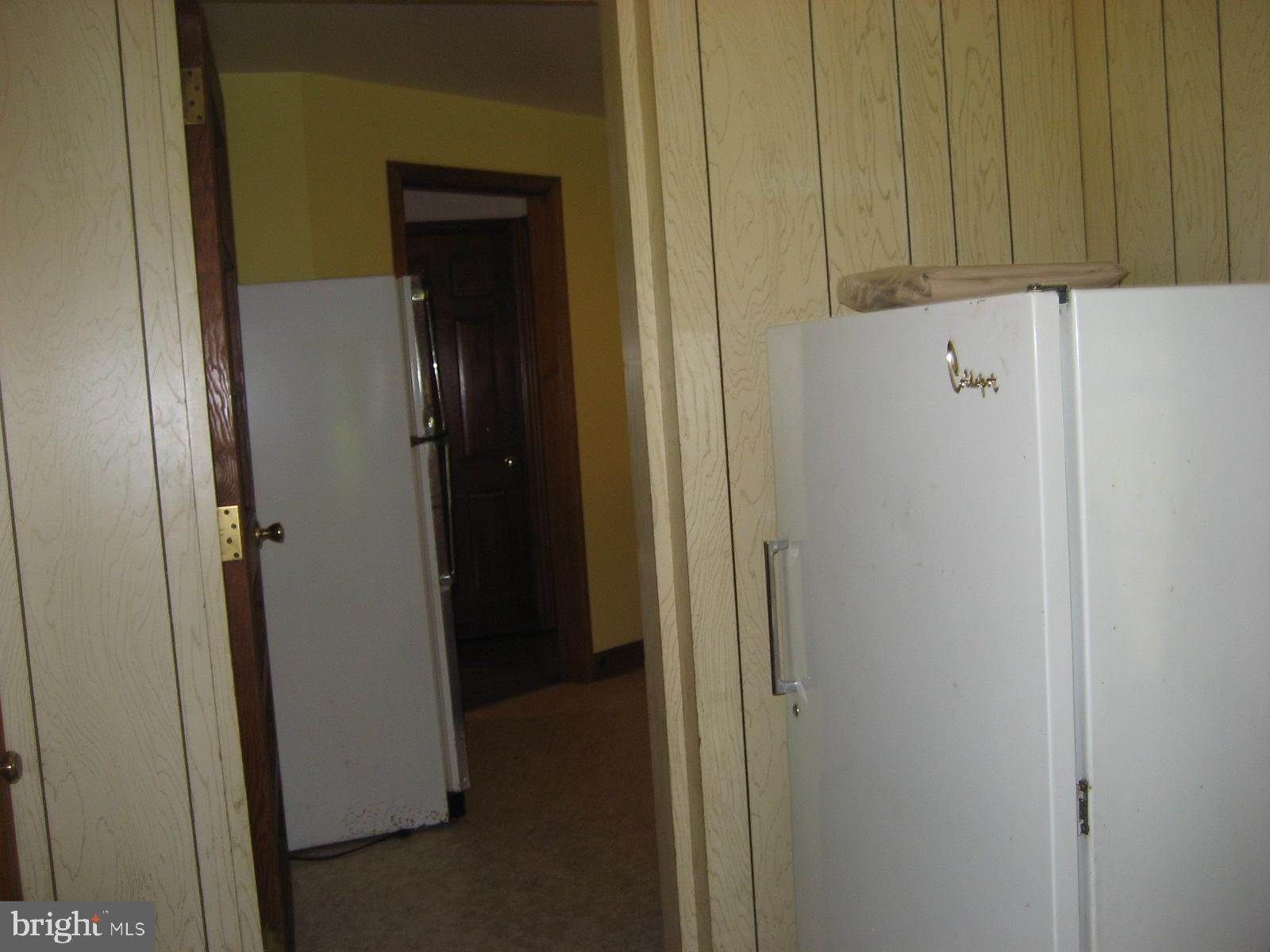 2459 Frogtown Road Bluemont, VA 20135 - Photo 27 of 56 Freezer at entry to kitchen