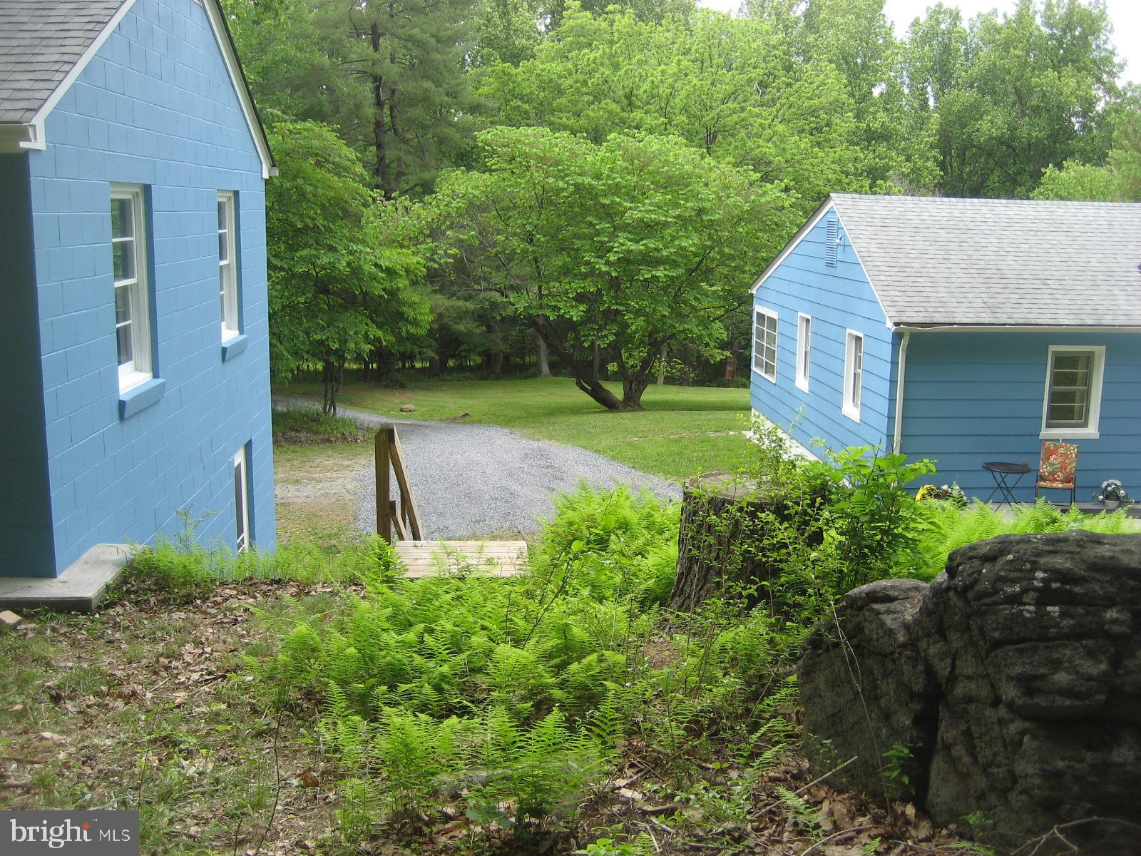 2459 Frogtown Road Bluemont, VA 20135 - Photo 4 of 56 View from woods in back of house