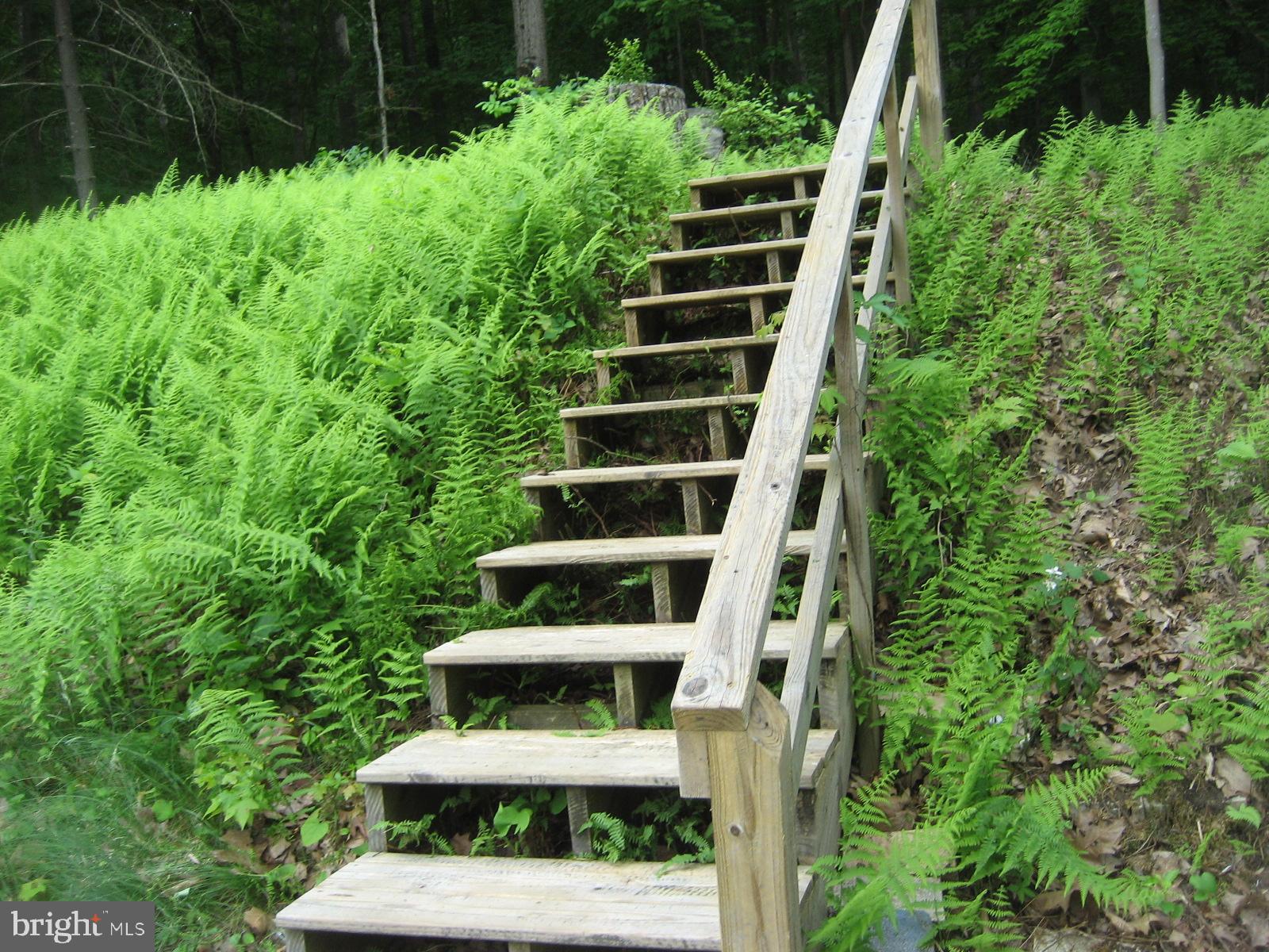 2459 Frogtown Road Bluemont, VA 20135 - Photo 40 of 56 Stairway to upper level over Garage