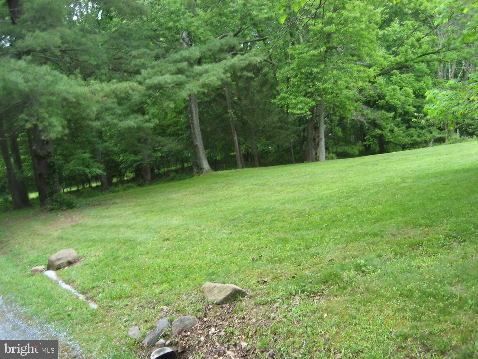 2459 Frogtown Road Bluemont, VA 20135 - Photo 41 of 56 Front Yard