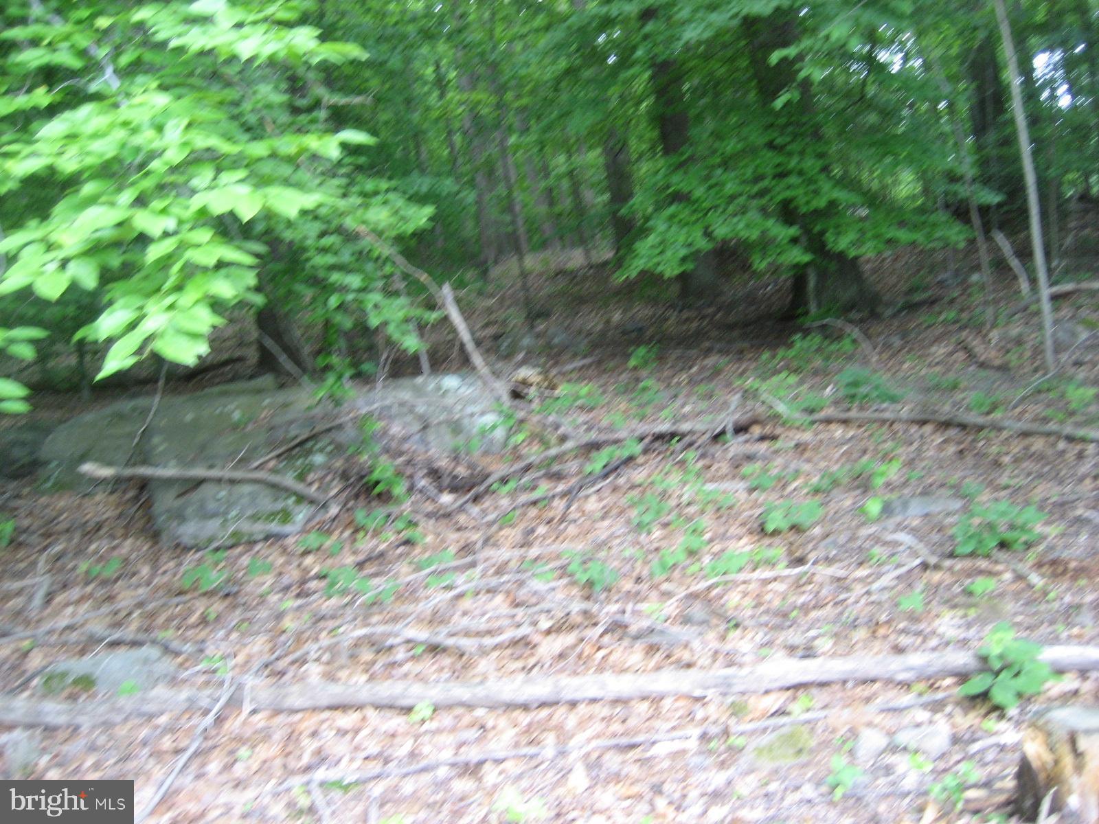 2459 Frogtown Road Bluemont, VA 20135 - Photo 53 of 56 Walk through the woods to Appalachian Trail