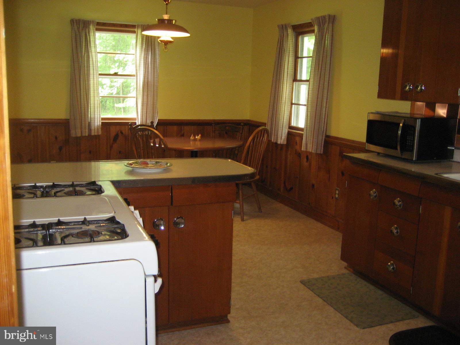 2459 Frogtown Road Bluemont, VA 20135 - Photo 10 of 56 Kitchen