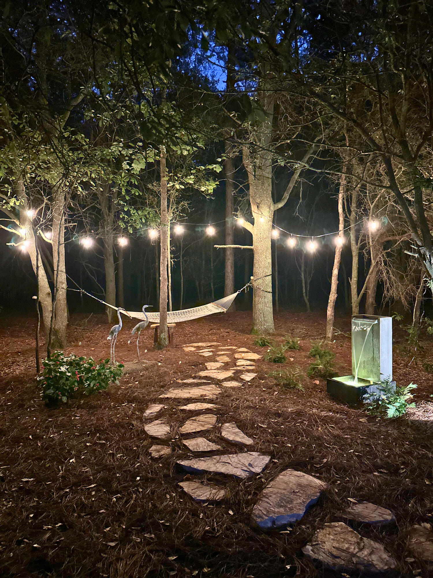 2122 New Holland Road Wagener, SC 29164 - Photo 47 of 48 Gallery Image 47