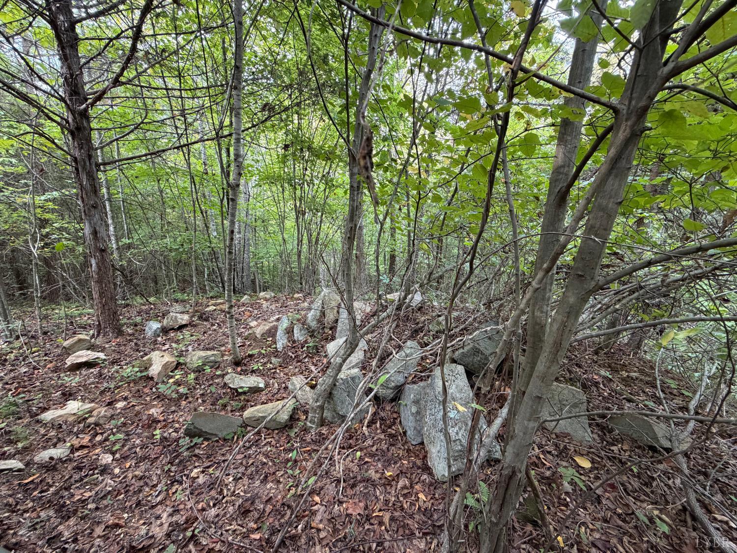 8882 Spring Mill Road Concord, VA 24538 - Photo 66 of 88 Gallery Image 66