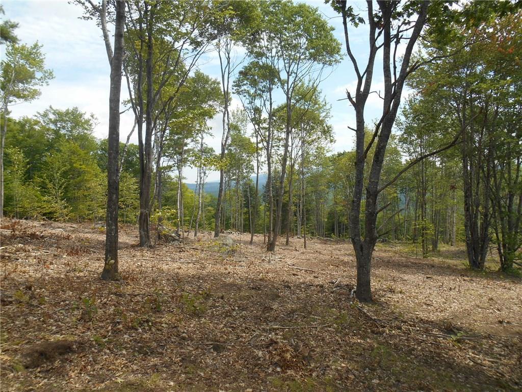 0 Payson Road Union, ME 04862 - Photo 23 of 27 Photo