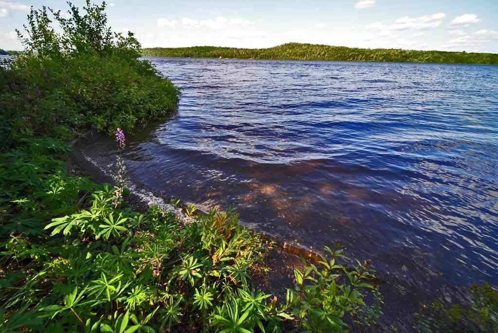 590 W Road Portage, ME 04768 - Photo 7 of 136 lake-shore-portage-lake