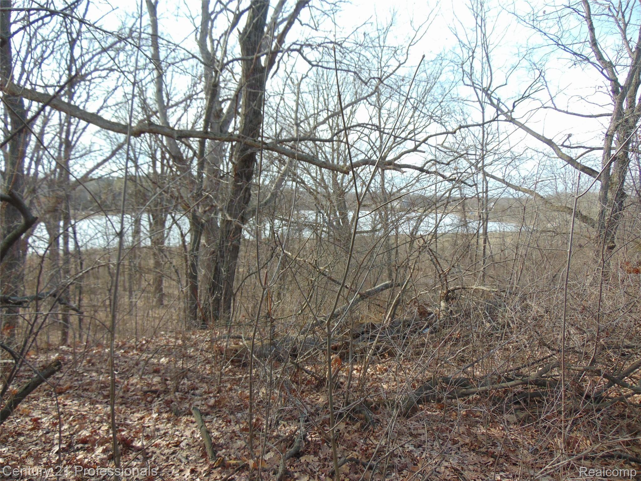 0 Taylor Lake Road Holly, MI 48442 - Photo 4 of 10 Another View of Baker Lake....