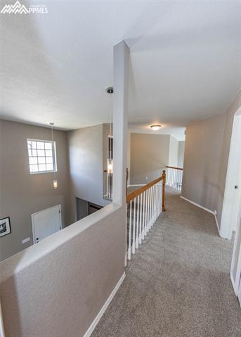 7425 Julynn Road Colorado Springs, CO 80919 - Photo 20 of 36