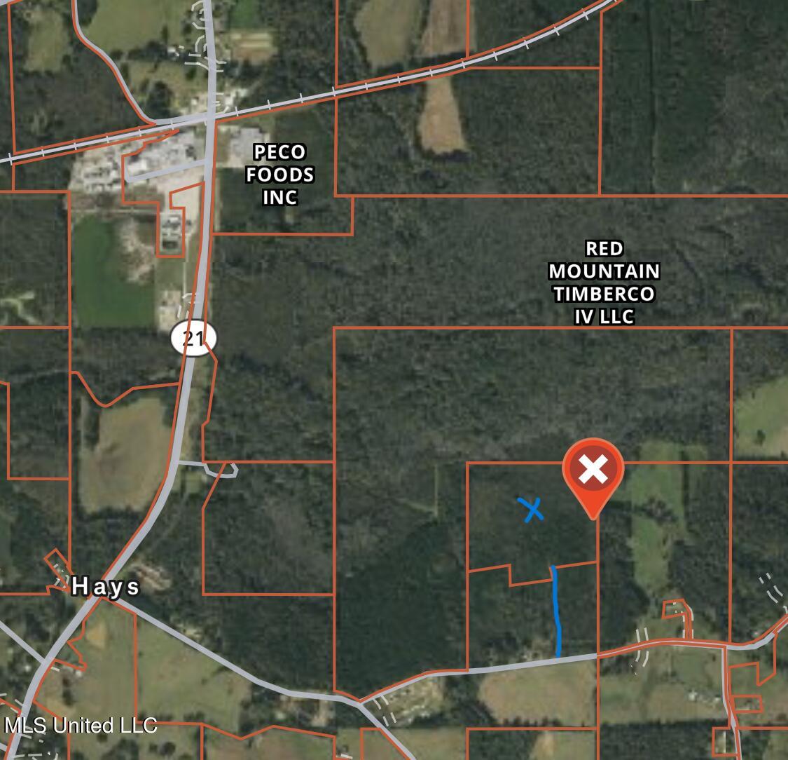 Abels Road Walnut Grove, MS 39189 - Photo 1 of 1 Aerial Photo