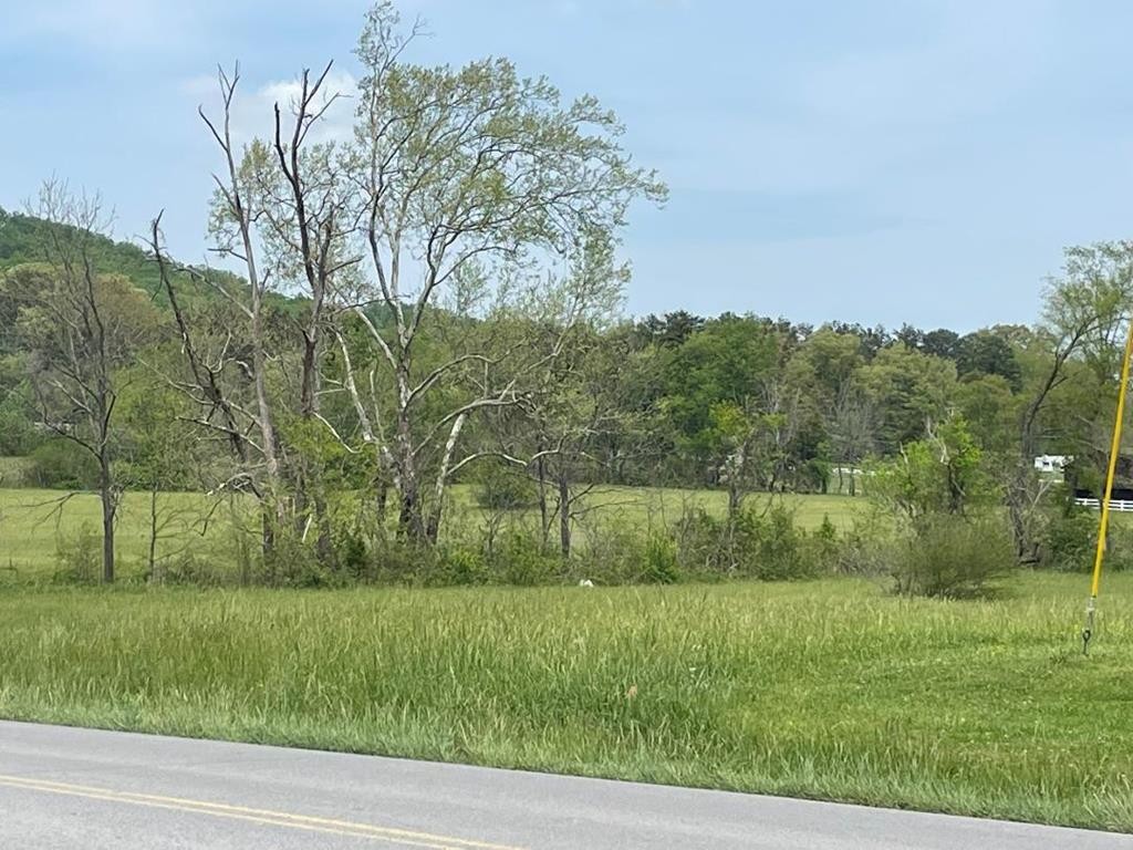 0 Line Springs Road Sevierville, TN 37862 - Photo 1 of 8