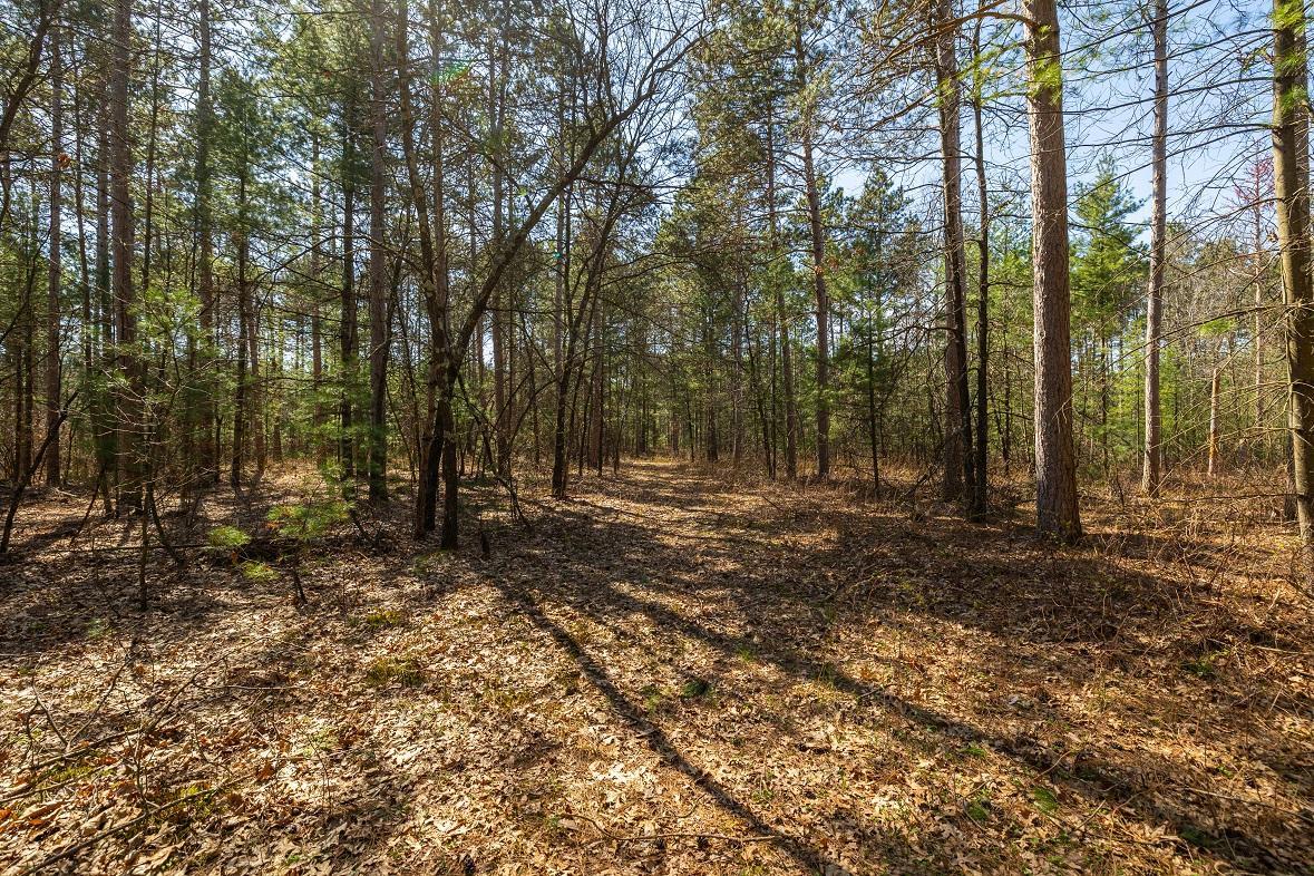 0 Prairie Road East Osseo, WI 54758 - Photo 11 of 24