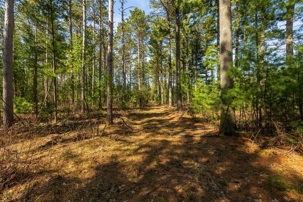 0 Prairie Road East Osseo, WI 54758 - Photo 13 of 24