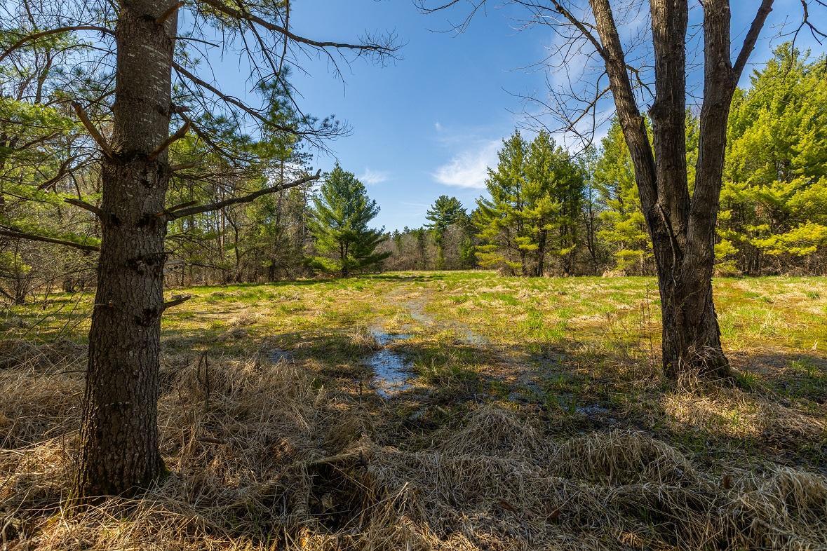 0 Prairie Road East Osseo, WI 54758 - Photo 14 of 24