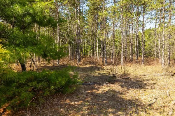 $549,900 | 0 Prairie Road East, Osseo, WI 54758