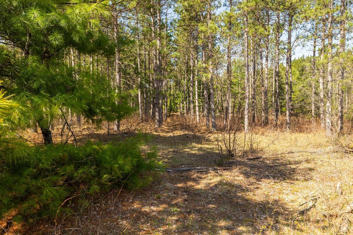 0 Prairie Road East Osseo, WI 54758 - Photo 3 of 24