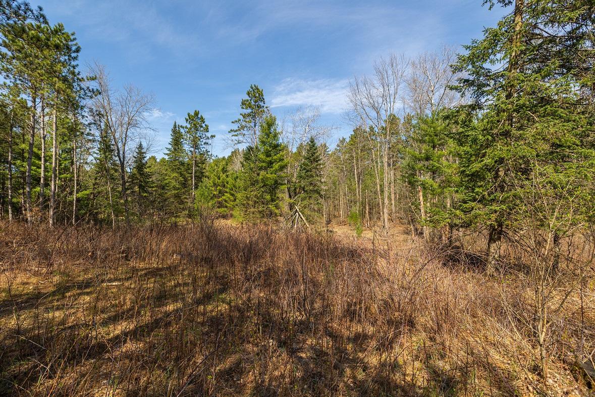 0 Prairie Road East Osseo, WI 54758 - Photo 7 of 24