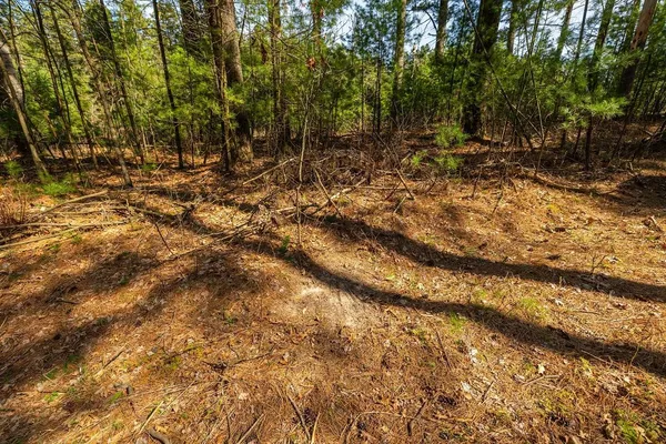 $549,900 | 0 Prairie Road East, Osseo, WI 54758