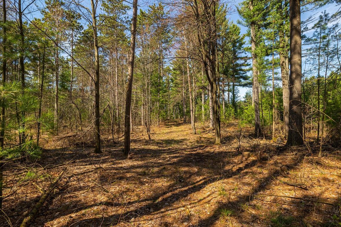 0 Prairie Road East Osseo, WI 54758 - Photo 10 of 24