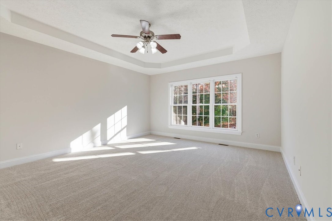 11891 Old Stage Road Prince George, VA 23875 - Photo 15 of 38 first floor primary bedroom with trey ceiling