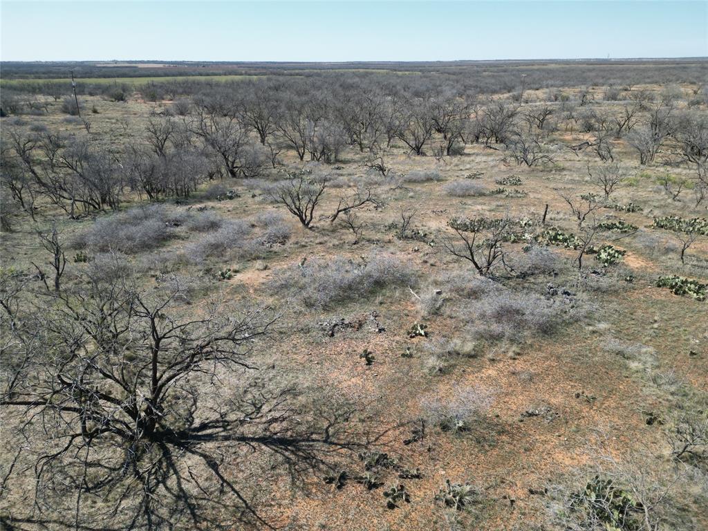 444 Merkel Tx 79536 Merkel, TX 79536 - Photo 22 of 32