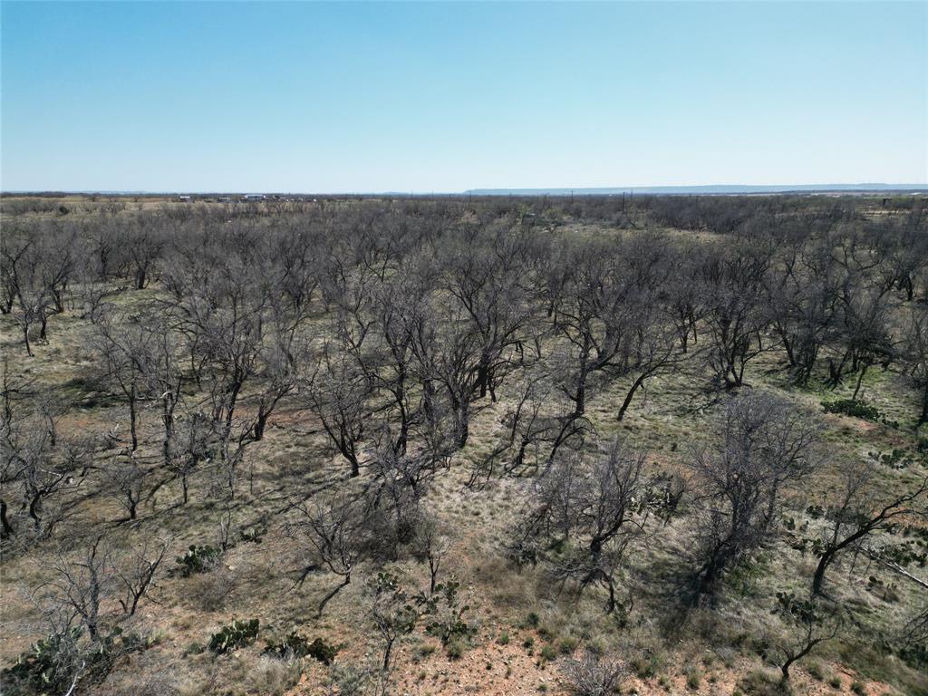 444 Merkel Tx 79536 Merkel, TX 79536 - Photo 26 of 32 a view of a dry yard with green space