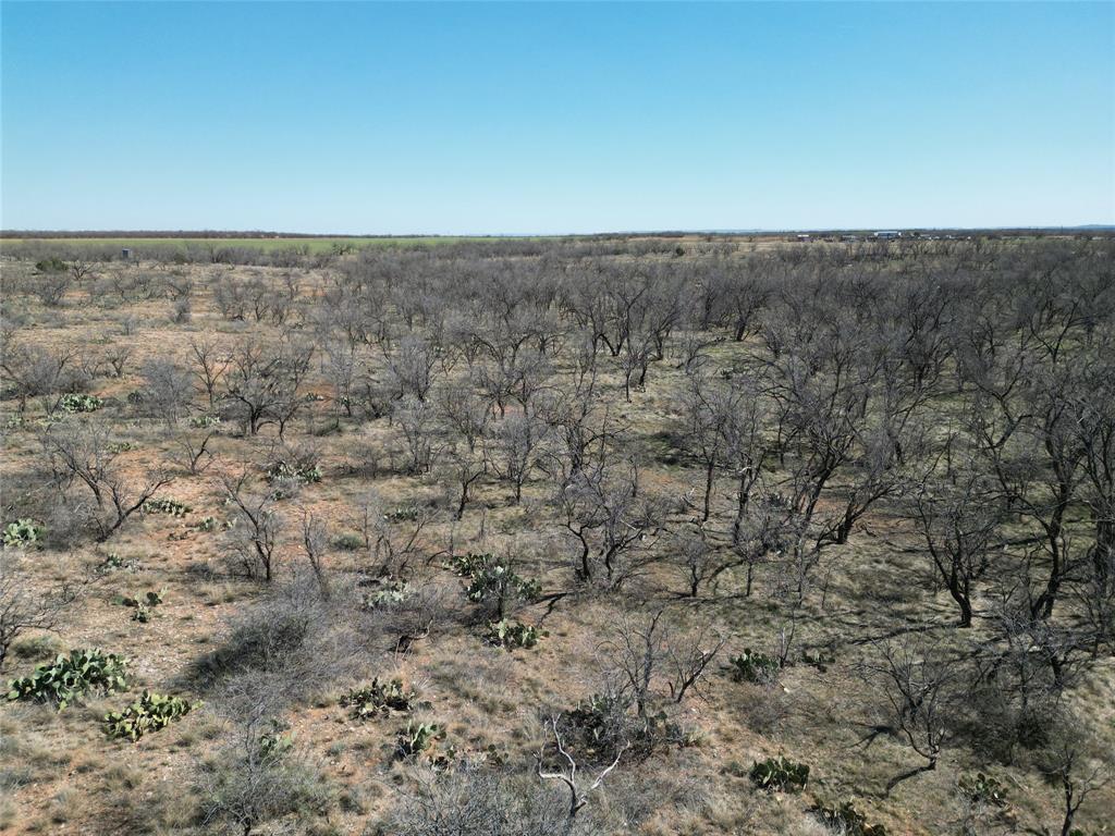 444 Merkel Tx 79536 Merkel, TX 79536 - Photo 27 of 32 wooden floor in a field
