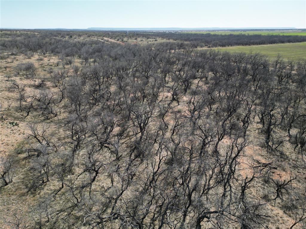 444 Merkel Tx 79536 Merkel, TX 79536 - Photo 28 of 32 an aerial view of multiple house