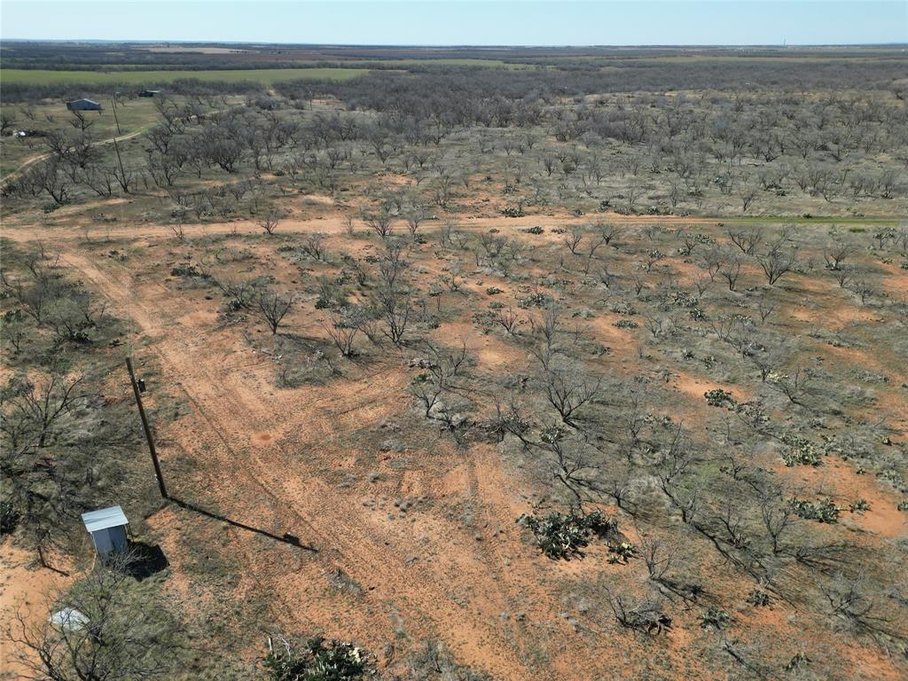 444 Merkel Tx 79536 Merkel, TX 79536 - Photo 7 of 32 a view of a dry yard with trees