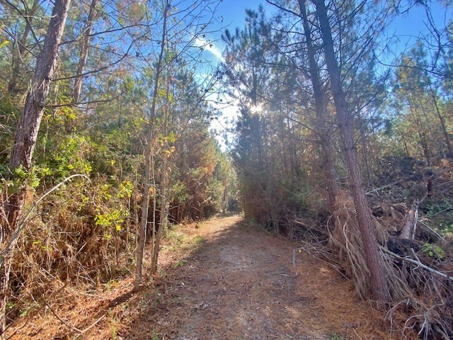 4894 Welch Road Liberty, MS 39645 - Photo 14 of 18 Photo 14