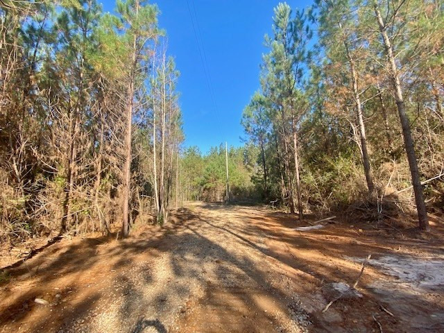 4894 Welch Road Liberty, MS 39645 - Photo 15 of 18 Photo 15