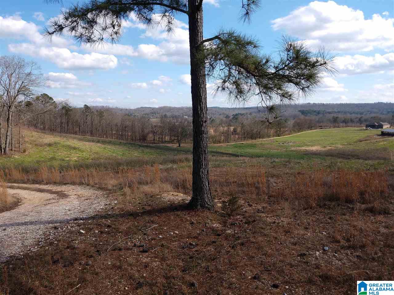 500 Lake Street Springville, AL 35146 - Photo 30 of 31