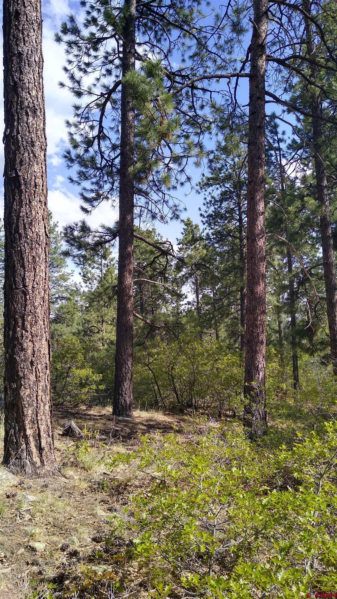 1532 Nusbaum Road Durango, CO 81301 - Photo 20 of 28 Gallery Image 20