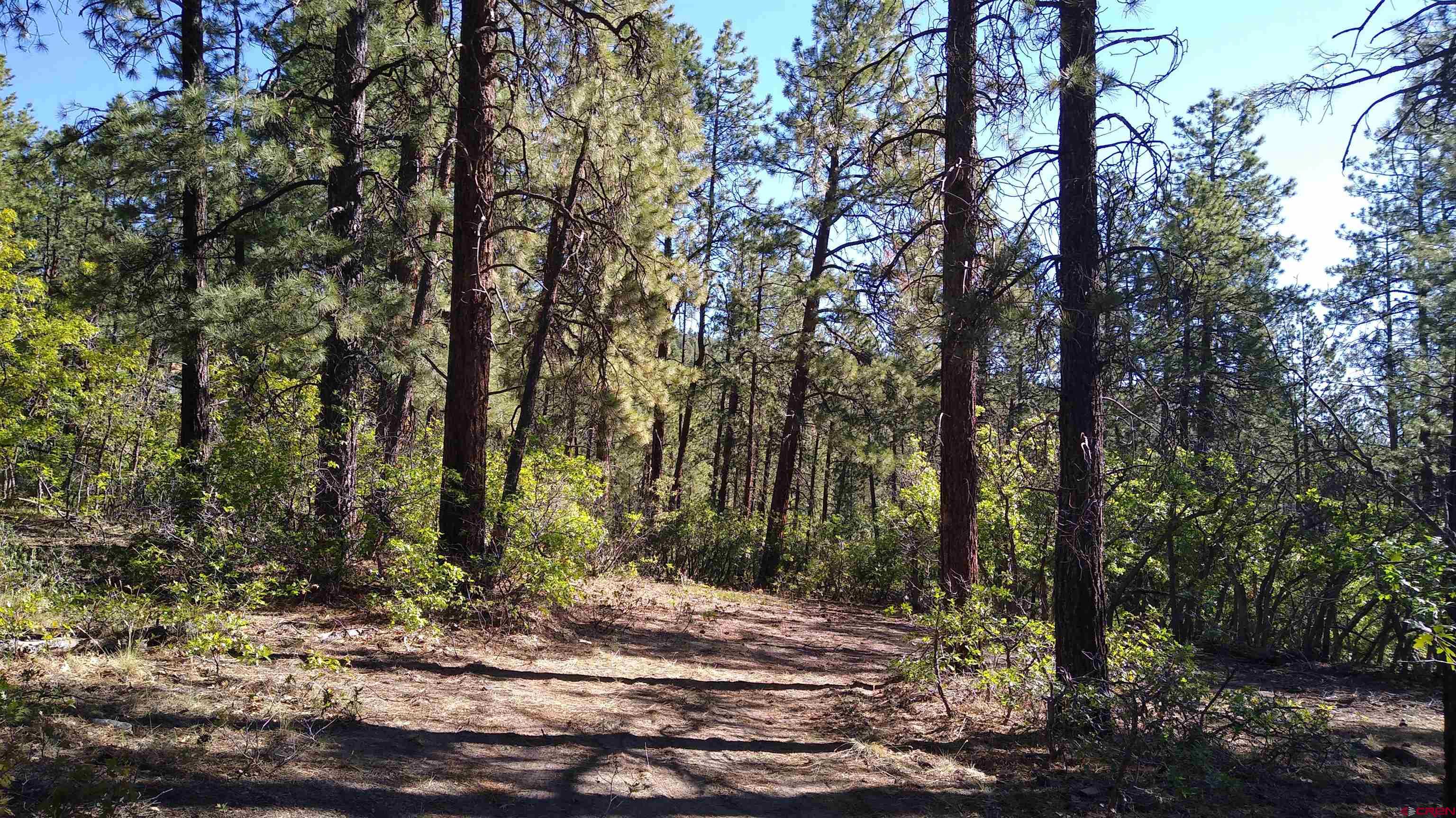 1532 Nusbaum Road Durango, CO 81301 - Photo 27 of 28 Gallery Image 27