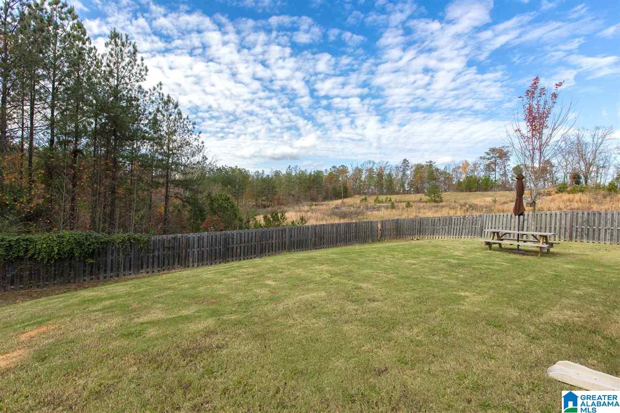 597 Village Springs Lane Springville, AL 35146 - Photo 32 of 32