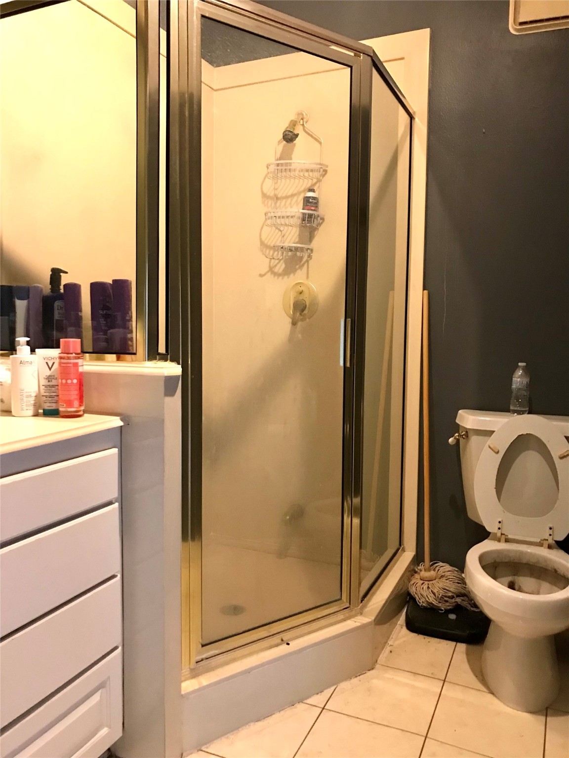 1616 Milian Circle Sweeny, TX 77480 - Photo 30 of 49 a bathroom with a toilet and a shower